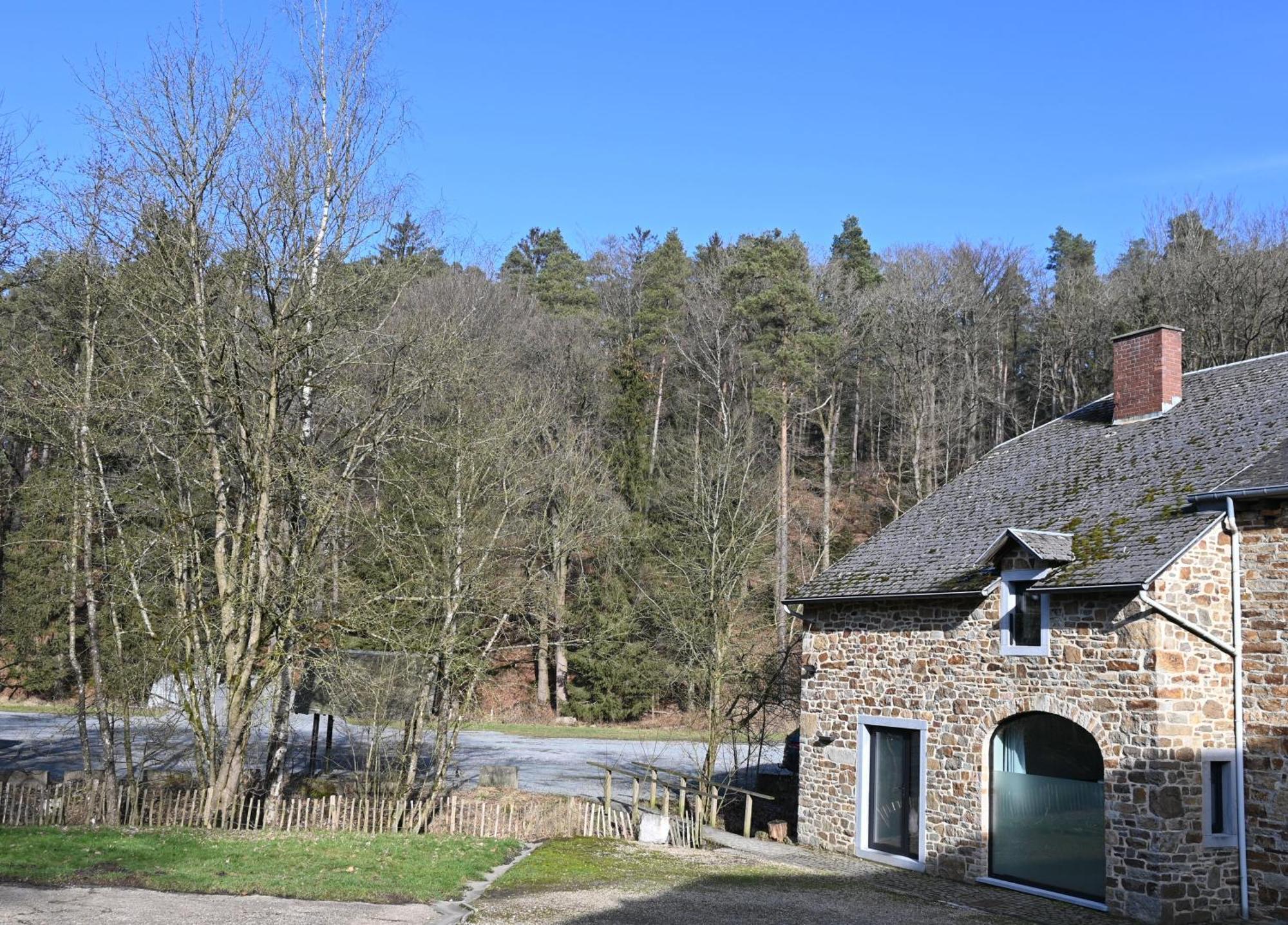 Апартаменти Le Moulin De Bosson - Ourasi Ferrieres Екстер'єр фото